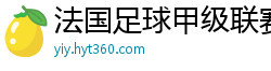 法国足球甲级联赛